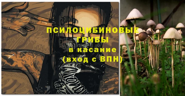 МДПВ Алзамай