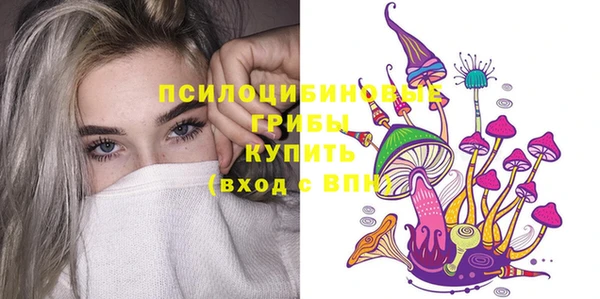шишки Алексеевка