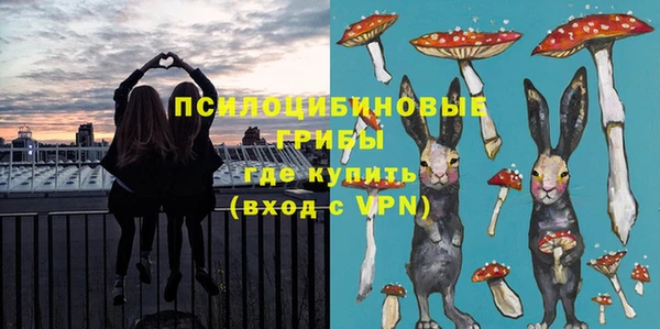 дмт Алексин