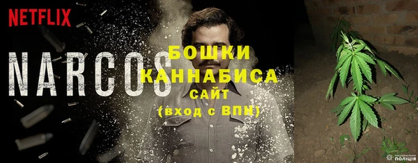шишки Алексеевка