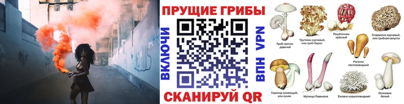 Псилоцибиновые грибы ЛСД Ковров